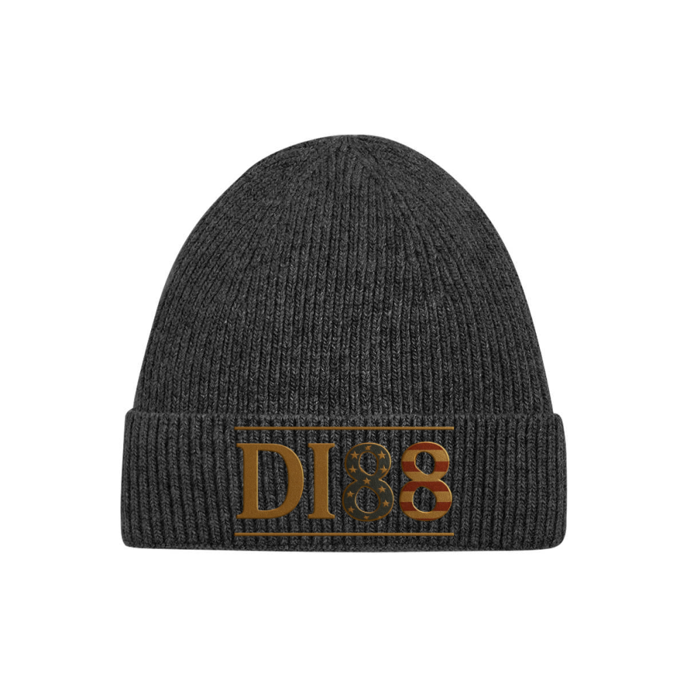 Unisex Thick Knit Beanie